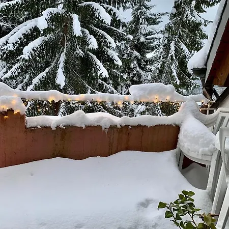 Ferienwohnungen Fuchs&Hase Saig - der Hase Exterior foto