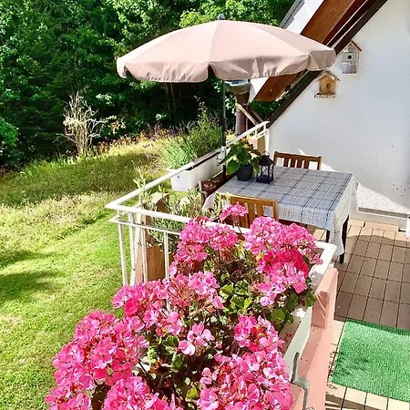 Ferienwohnungen Fuchs&Hase Saig - der Hase Exterior foto