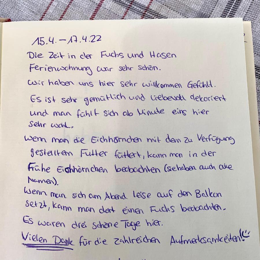 Fuchs&hase - Der Hase * Saig