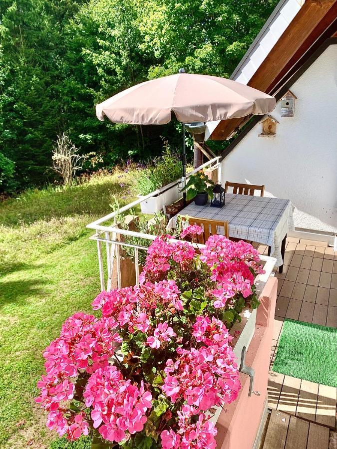 Fuchs&hase - Der Hase Apartment Saig